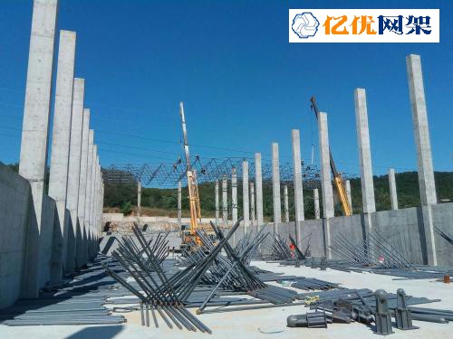 福安料棚网架设计